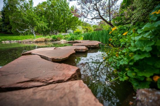 Picture of Doman Donation 